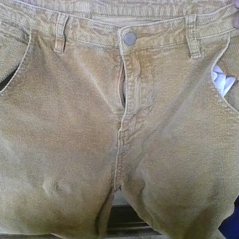 Brown Corduroys Pants Large Womens